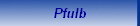 Pfulb