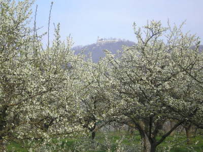 Kleine Allgu Tour - Teck 