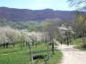 Kleine Allgu Tour 