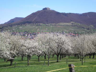 Kleine Allgu Tour Hohenneuffen 3